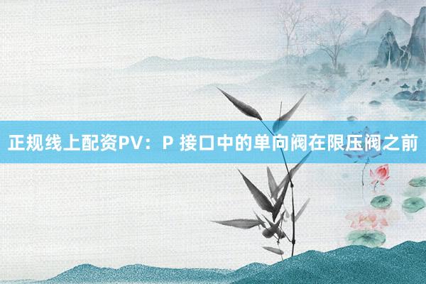 正规线上配资PV：P 接口中的单向阀在限压阀之前