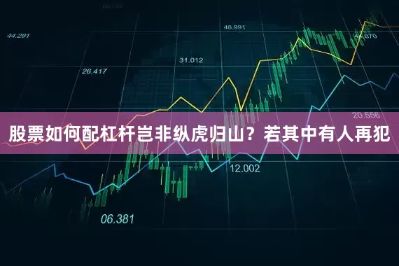 股票如何配杠杆岂非纵虎归山？若其中有人再犯