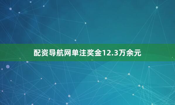 配资导航网单注奖金12.3万余元