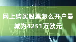 网上购买股票怎么开户曼城为4251万欧元