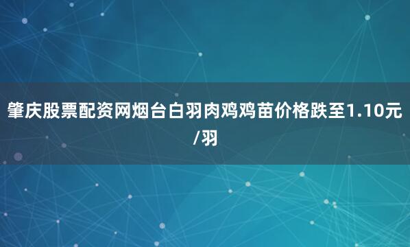 肇庆股票配资网烟台白羽肉鸡鸡苗价格跌至1.10元/羽