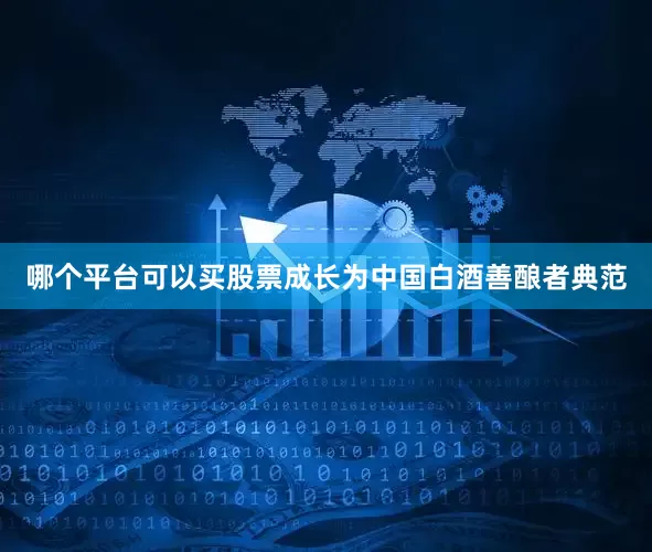 哪个平台可以买股票成长为中国白酒善酿者典范