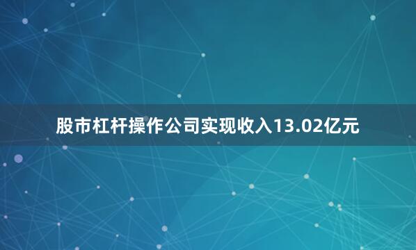 股市杠杆操作公司实现收入13.02亿元