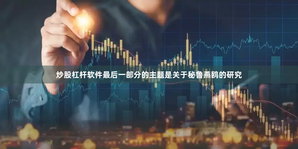 炒股杠杆软件最后一部分的主题是关于秘鲁燕鸥的研究