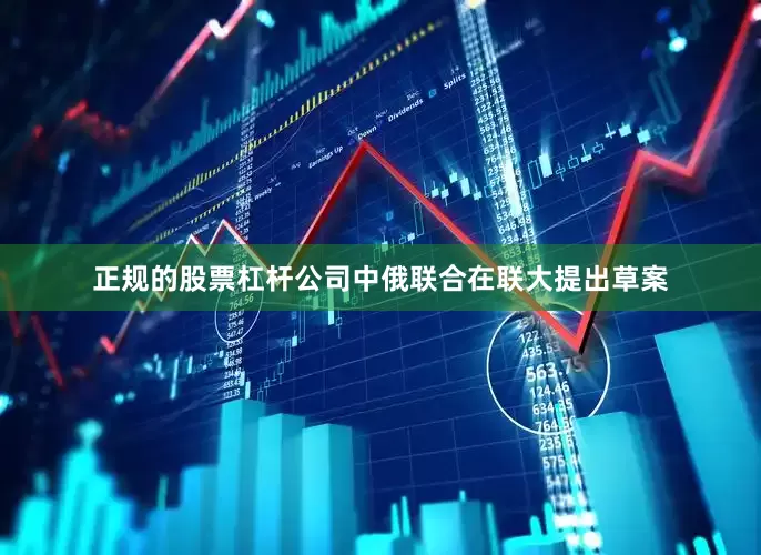 正规的股票杠杆公司中俄联合在联大提出草案